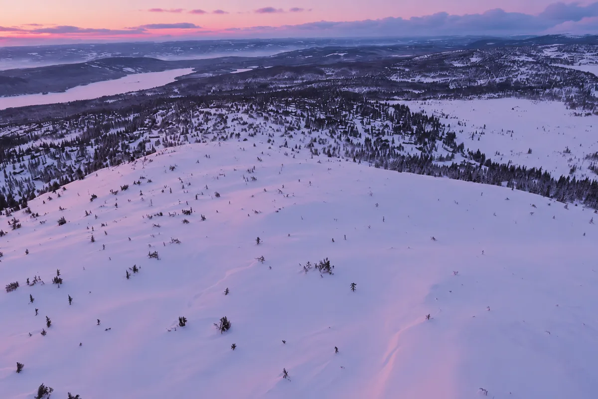 Veduta aerea del paesaggio innevato della Lapponia svedese vicino a Kiruna e Abisko, con conifere sparse, foresta fitta e un lago ghiacciato in lontananza